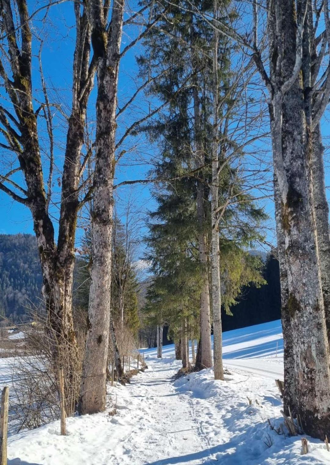 Apartmán Bio Bauernhof Geisl Sankt Ulrich am Pillersee Exteriér fotografie
